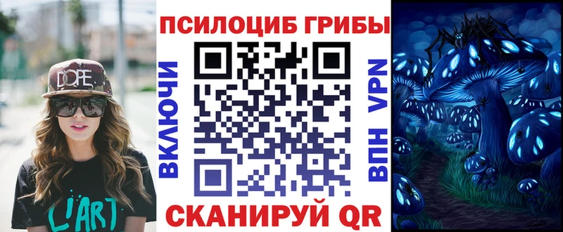 KRAKEN маркетплейс  продажа наркотиков  Сасово  Галлюциногенные грибы Cubensis 